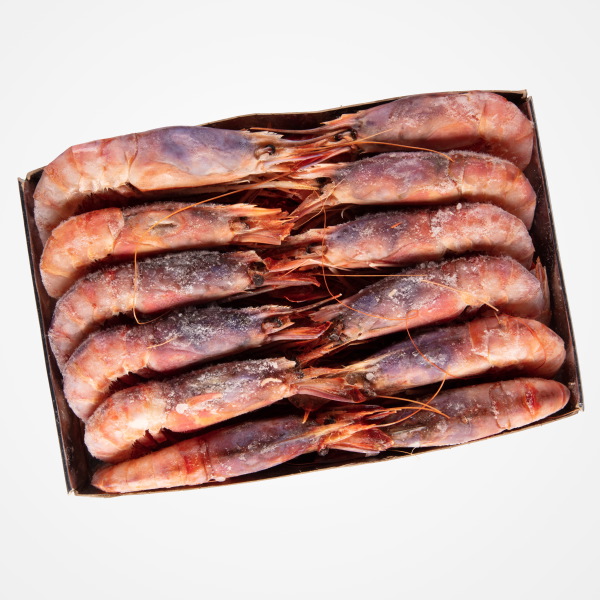 Granblau, Barcelona: GAMBA COSTA CONG. 15/20 PZ/KG