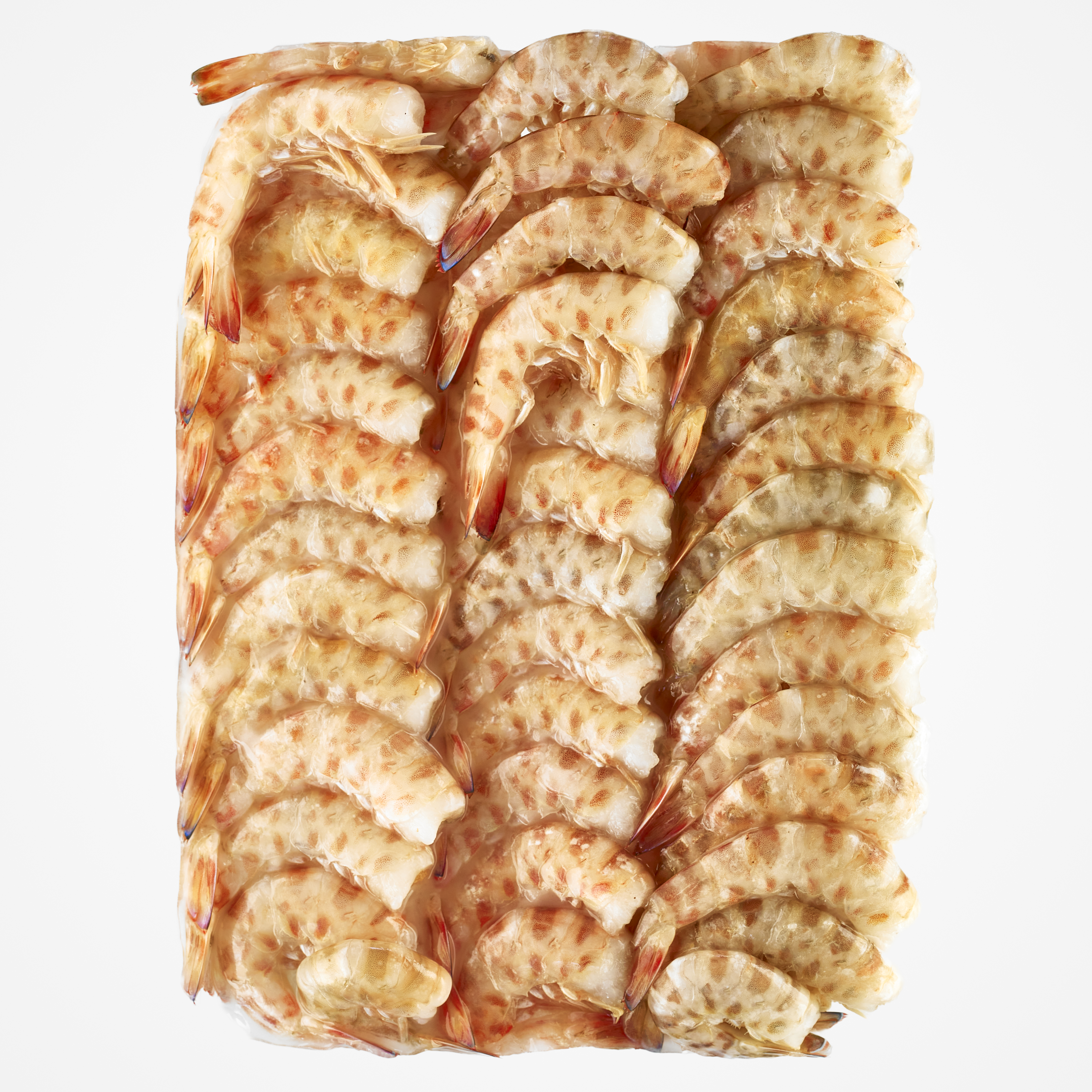 Granblau, Barcelona: LANGOSTINO COLA STG 32/50u/kg Granblau, Barcelona: LANGOSTINO COLA STG 32/50u/kg