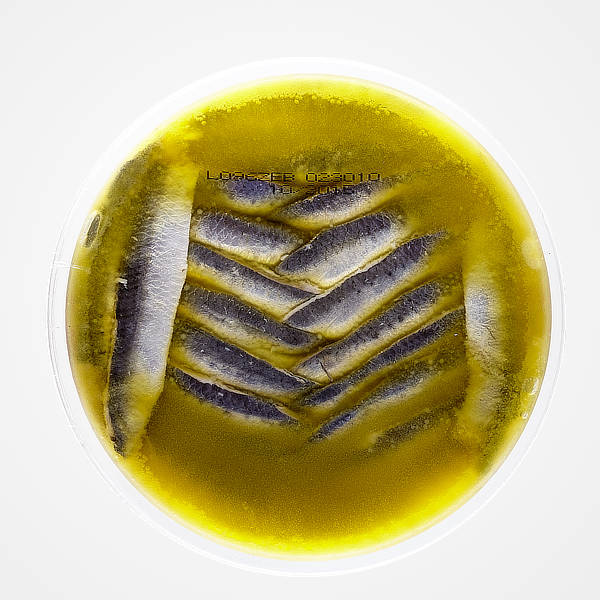 Granblau, Barcelona: Boquerón al vinagre en aceite S.Oro 1kg